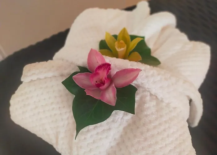 Playa Monis 2 아파트